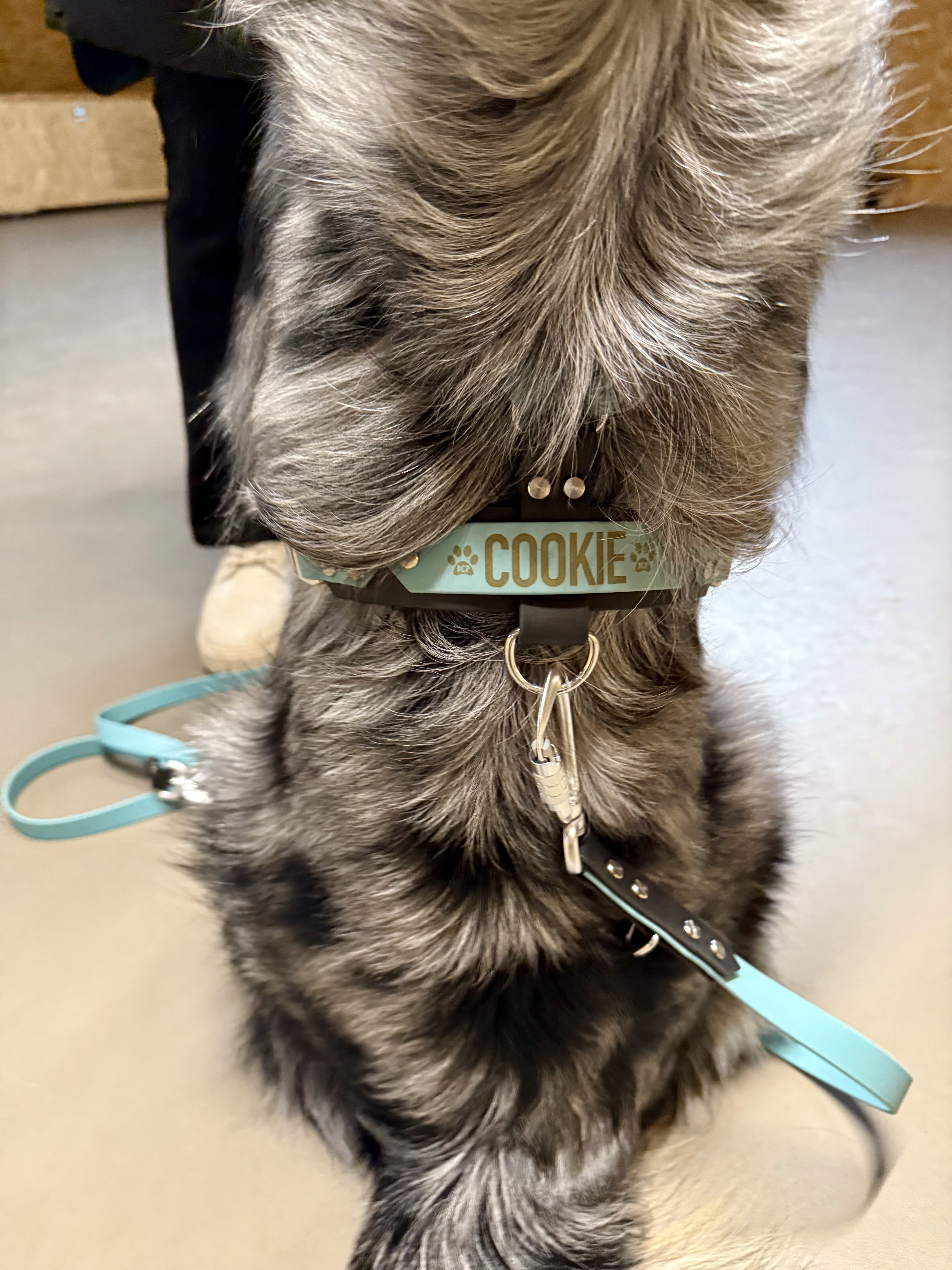 Leinen Galeriebild 2